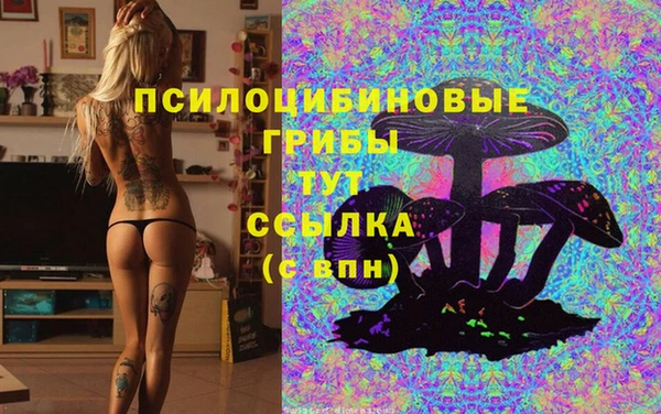 дурь Абаза