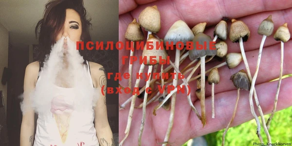 дурь Абаза