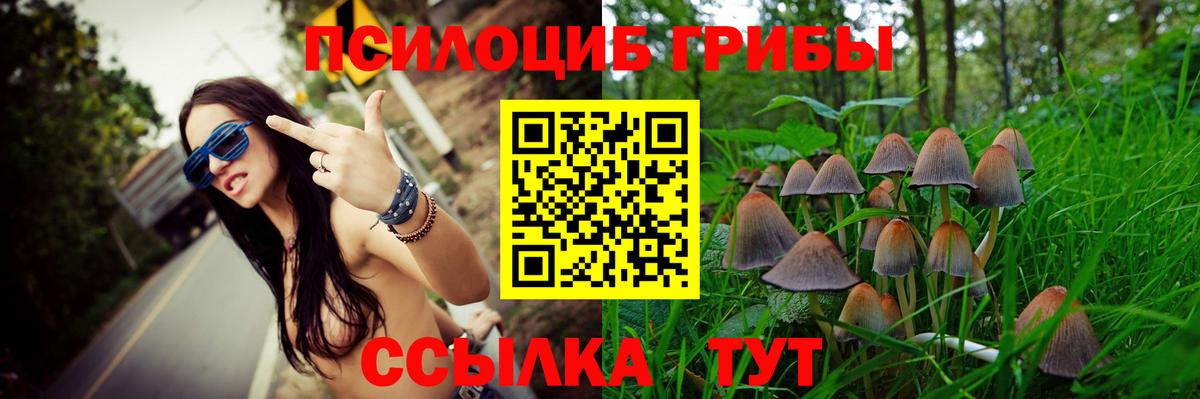 Нягань  Галлюциногенные грибы GOLDEN TEACHER  Вход с VPN 
