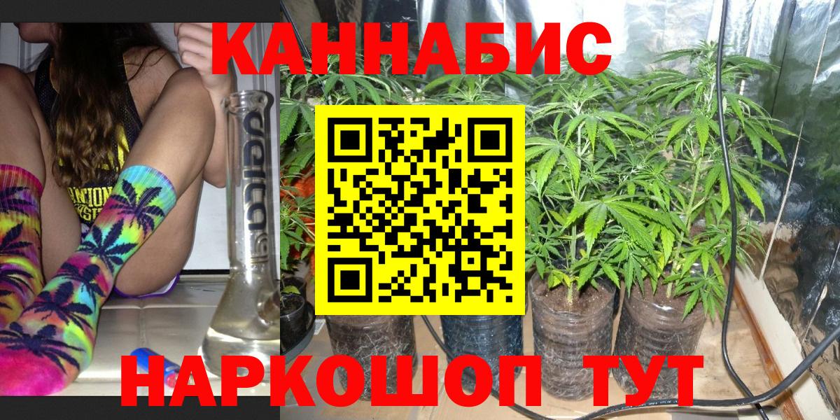 Шишки марихуана Bruce Banner  Марихуана Ganja  Вход с VPN  Нягань  Шишки марихуана план  МАРИХУАНА White Widow 